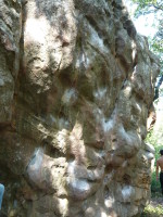 P1000878.JPG