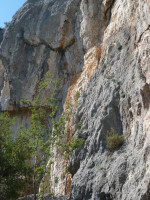 P1000453.JPG