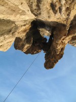 IMG_3338.JPG
