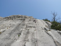 P1010076.JPG