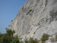 P1010078.JPG