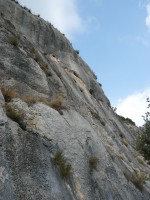 P1010081.JPG