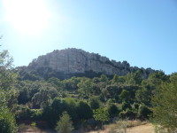 P1000487.JPG