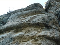 P1000584.JPG