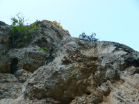 P1000585.JPG