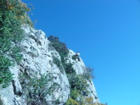 P1010208.JPG