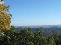 P1010223.JPG
