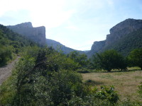 P1000407.JPG