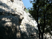 P1000474.JPG