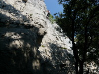 P1000475.JPG