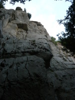 P1000477.JPG
