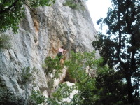 P1000482.JPG