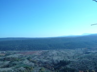 P1010153.JPG