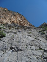 SNV80157.JPG