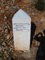SNV80176.JPG