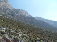 SNV80385.JPG