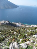 SNV80334.JPG