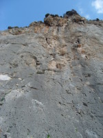 SNV80210.JPG