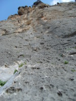 SNV80211.JPG