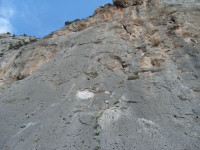 SNV80214.JPG