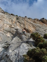 SNV80221.JPG