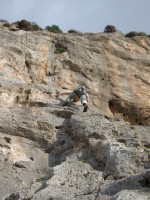 SNV80224.JPG