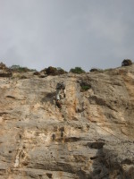 SNV80227.JPG