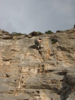 SNV80228.JPG