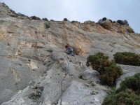 SNV80231.JPG
