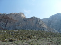 SNV80283.JPG
