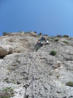 SNV80290.JPG