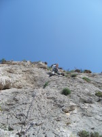 SNV80292.JPG