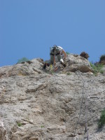 SNV80294.JPG