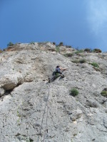 SNV80300.JPG