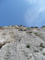 SNV80304.JPG