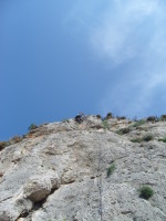 SNV80308.JPG