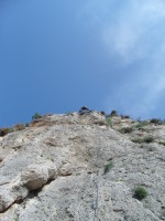 SNV80309.JPG