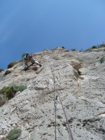 SNV80312.JPG
