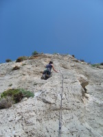 SNV80319.JPG