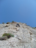 SNV80322.JPG