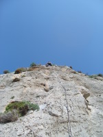 SNV80325.JPG