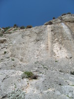 SNV80329.JPG