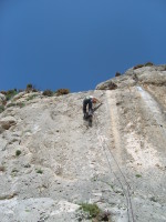 SNV80331.JPG