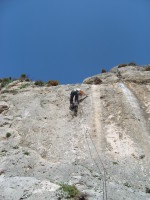 SNV80332.JPG