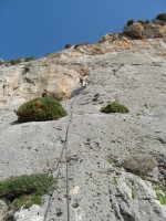 SNV80340.JPG