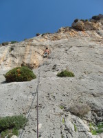 SNV80341.JPG