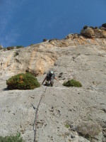 SNV80343.JPG