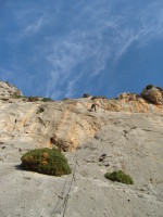 SNV80347.JPG