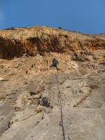 SNV80350.JPG