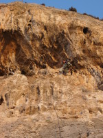 SNV80356.JPG
